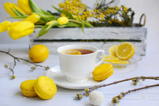 tescoma macarons al limone ricetta