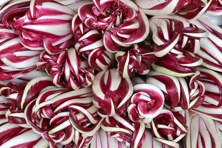 RADICCHIO